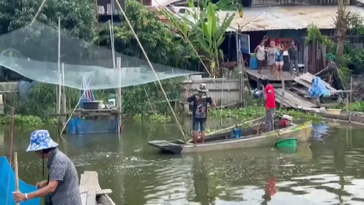 ผู้ว่าฯ แปดริ้ว นำทีมจับปลาหมอคางดำ ล้างบางเอเลี่ยนสปีชีส์