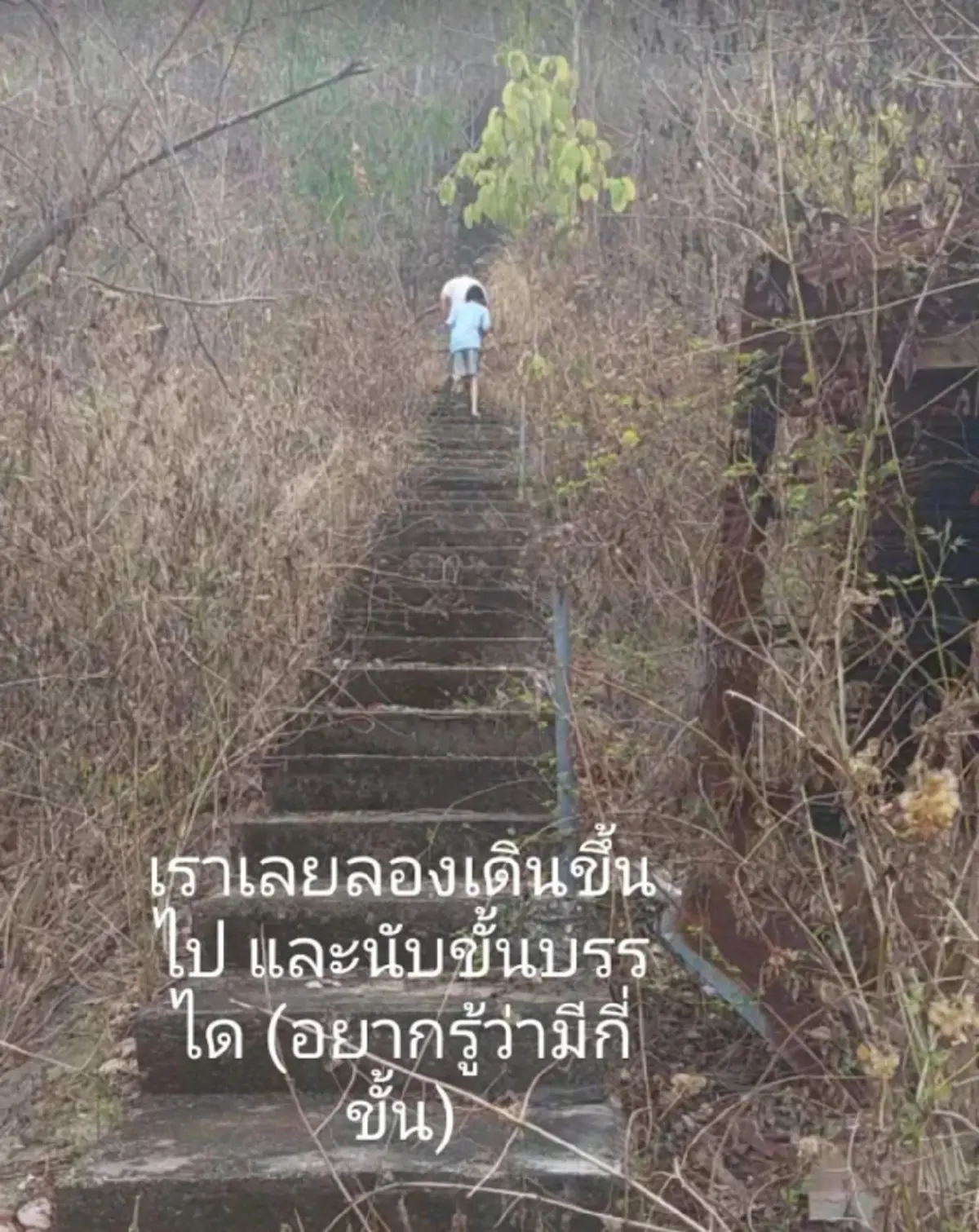 สาวบังเอิญเจอ ความลับหลังบ้านร้าง แอบซ่อนตัวอยู่หลายปี