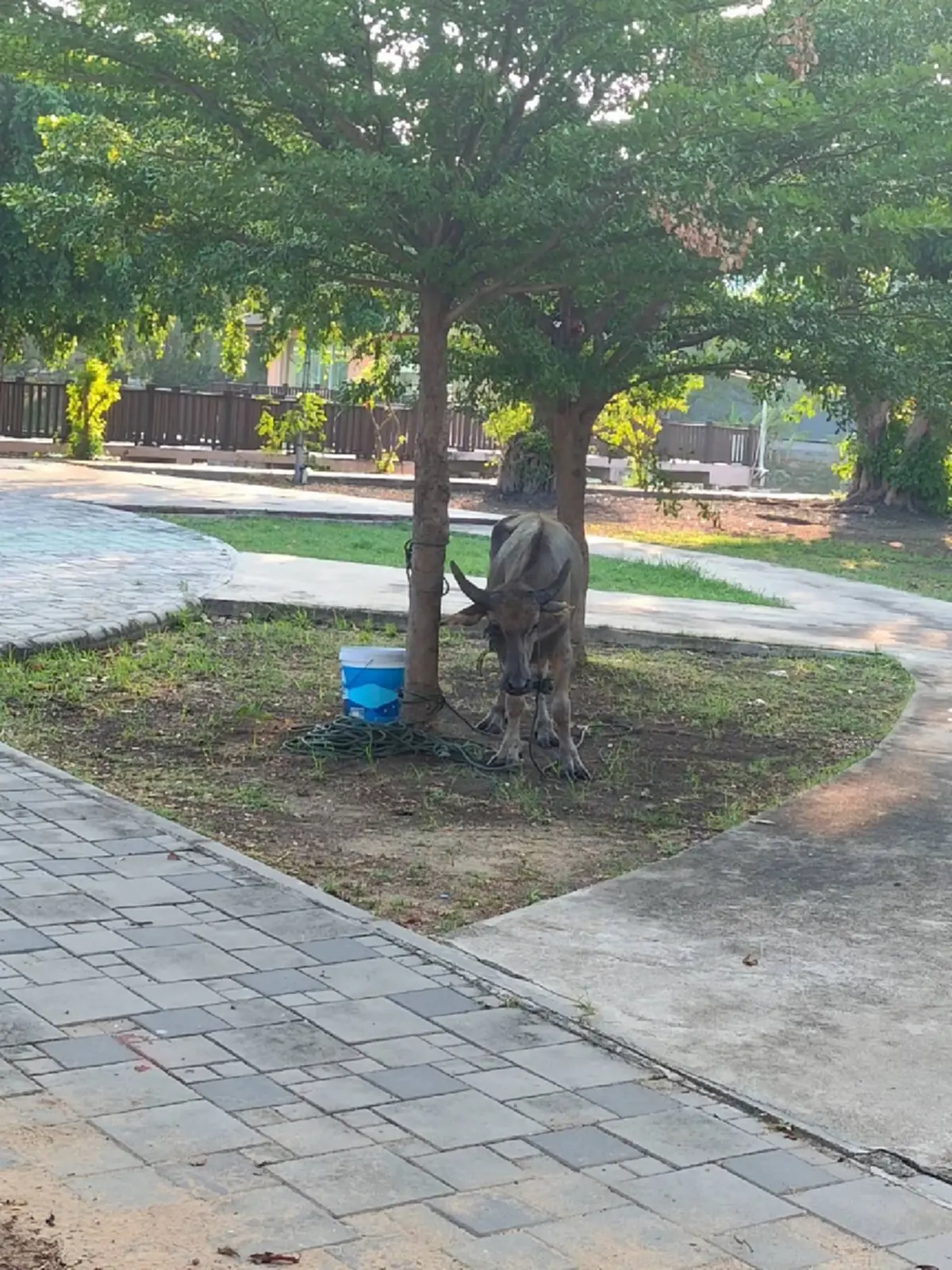 ภาพ @จ่าไม่เฉย แกไม่รอดแน่