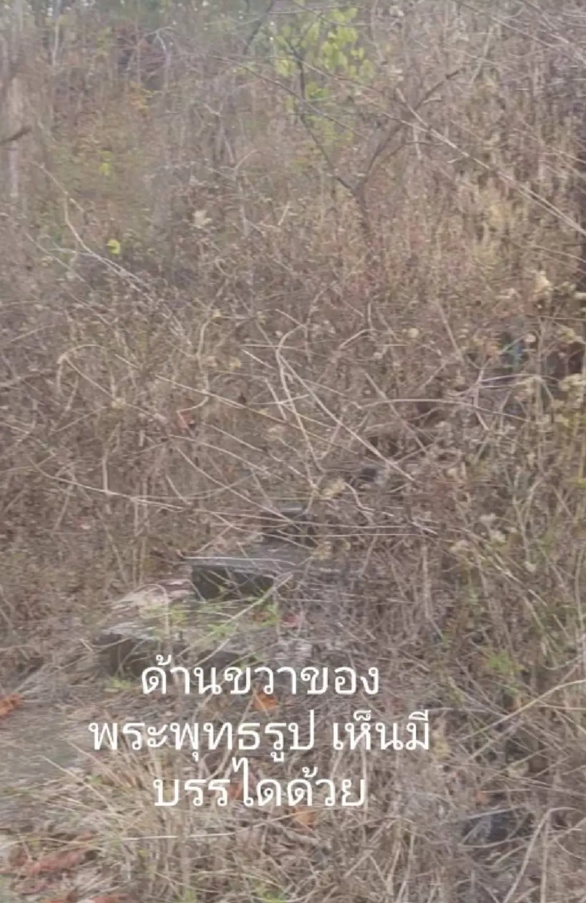 สาวบังเอิญเจอ ความลับหลังบ้านร้าง แอบซ่อนตัวอยู่หลายปี