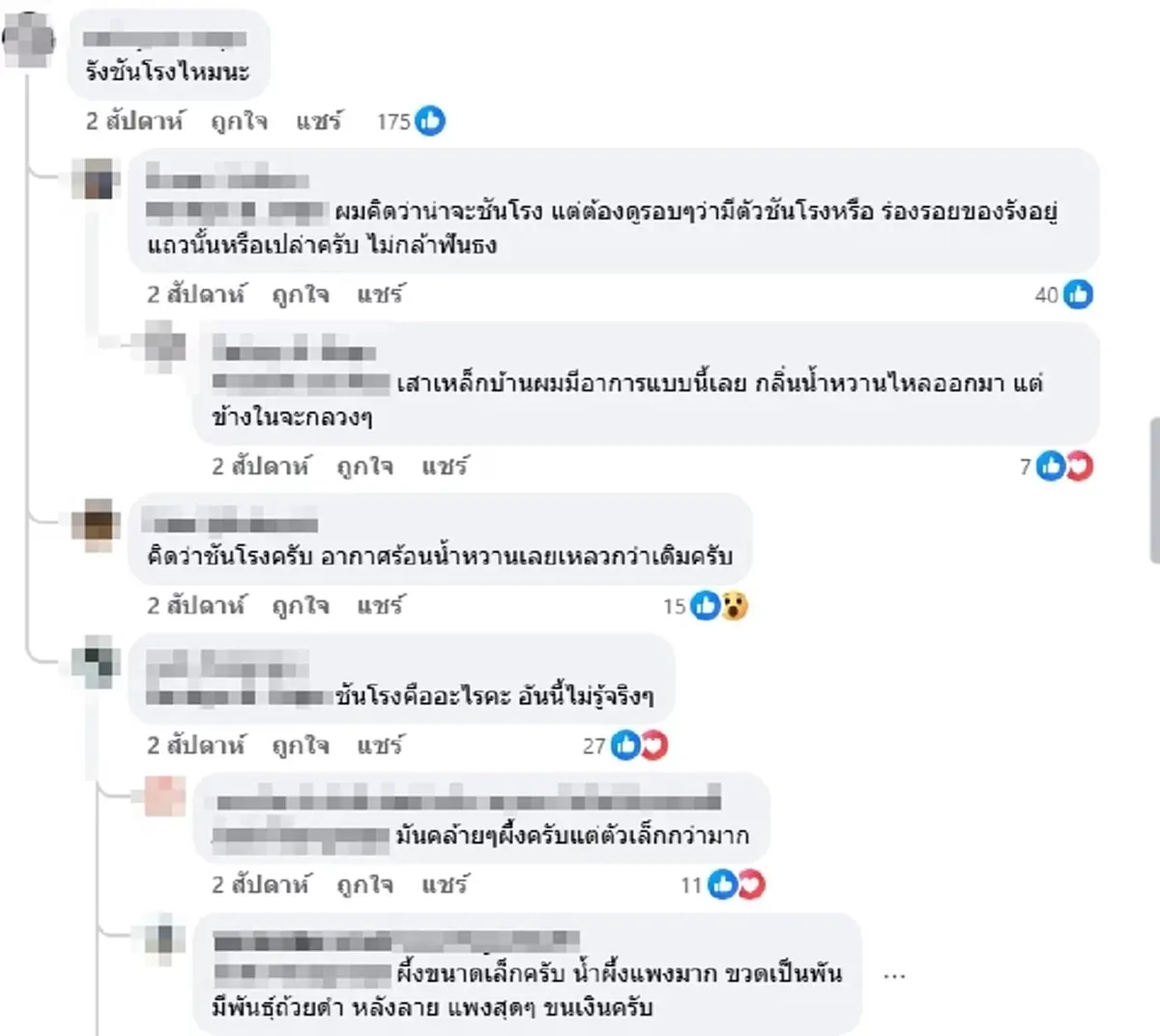 ตกใจ! เจอคราบปริศนาไหลย้อยจากกำแพง ก่อนรู้ความจริงว่านี่ของดี!
