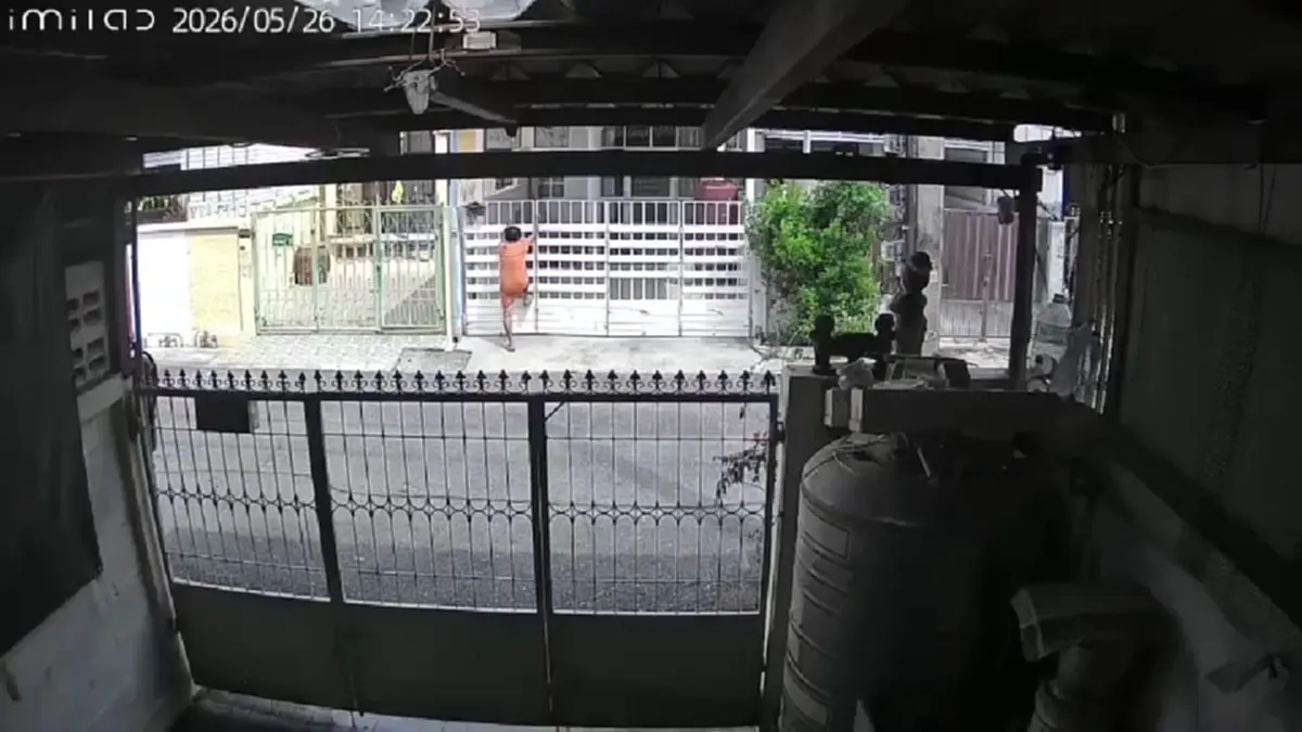 ป้านกพิราบเมินคำสั่งศาลปีนรั้วพังบ้านเพื่อนบ้านรอบ 3