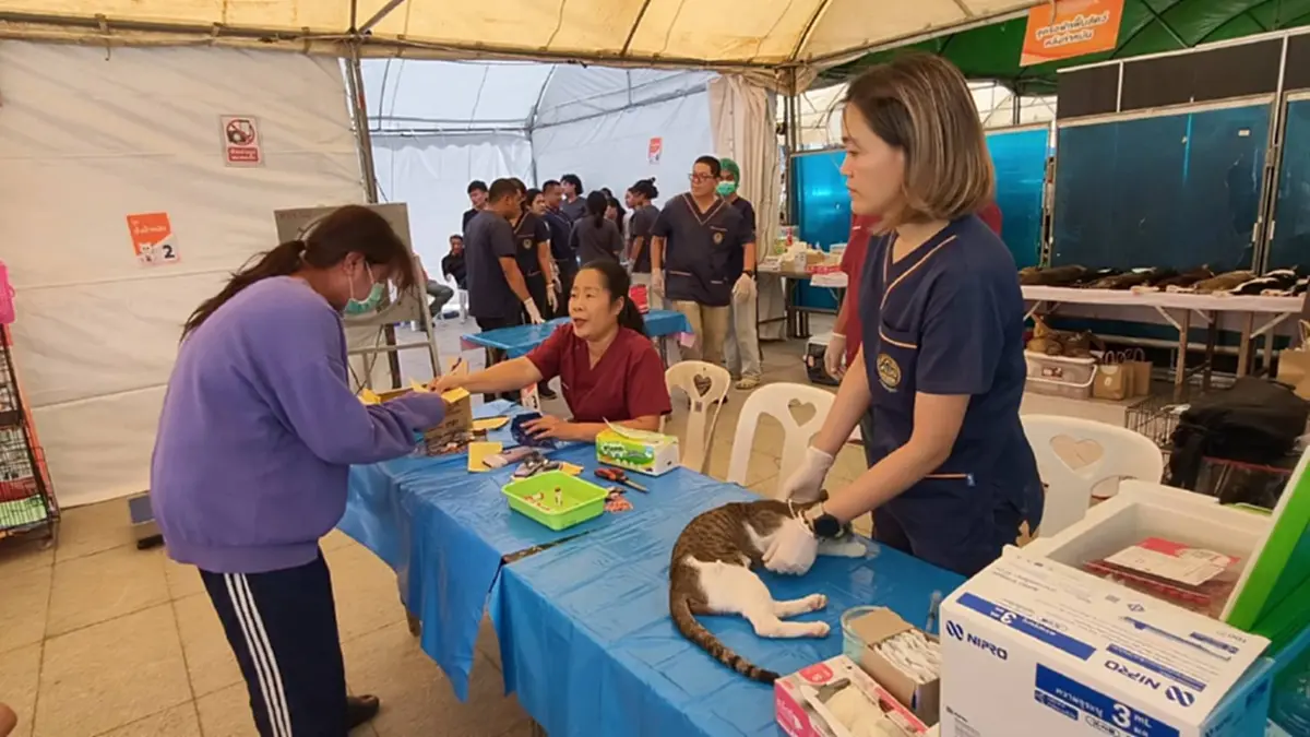 กรมควบคุมโรคจับมือจังหวัดโคราช ลุยล้างบางโรคพิษสุนัขบ้า