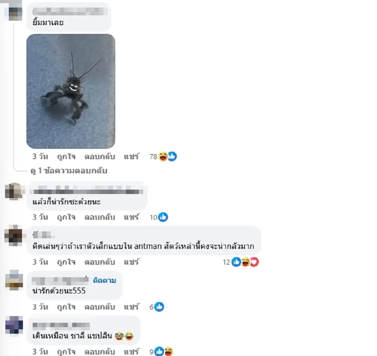 รู้แล้วตัวอะไร แมลงประหลาดเกาะรถ เห็นท่าเดินแล้วยิ่งเอ็นดู