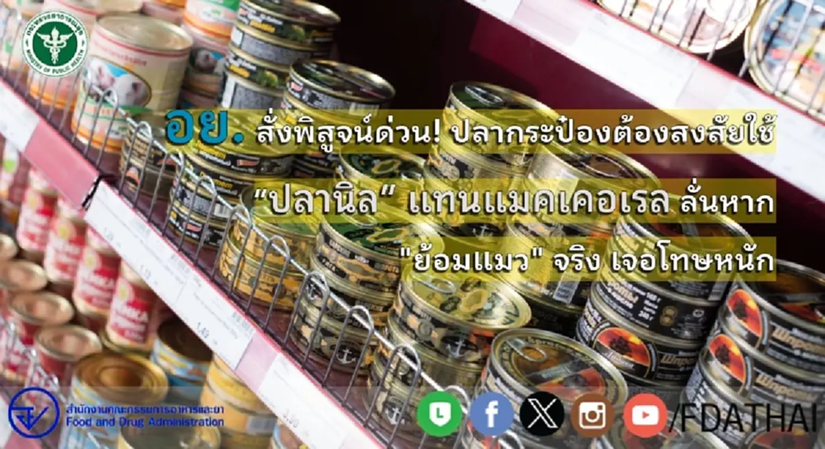 อย. สั่งพิสูจน์ด่วน! ปลากระป๋องต้องสงสัยใช้ “ปลานิล” แทนแมคเคอเรล
