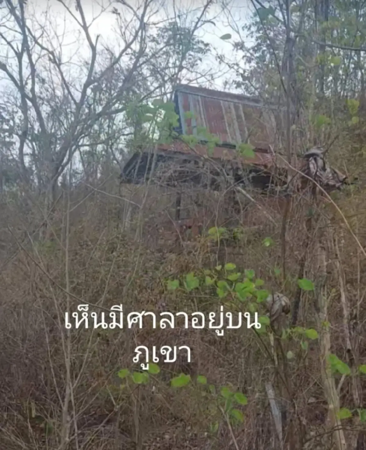 สาวบังเอิญเจอ ความลับหลังบ้านร้าง แอบซ่อนตัวอยู่หลายปี