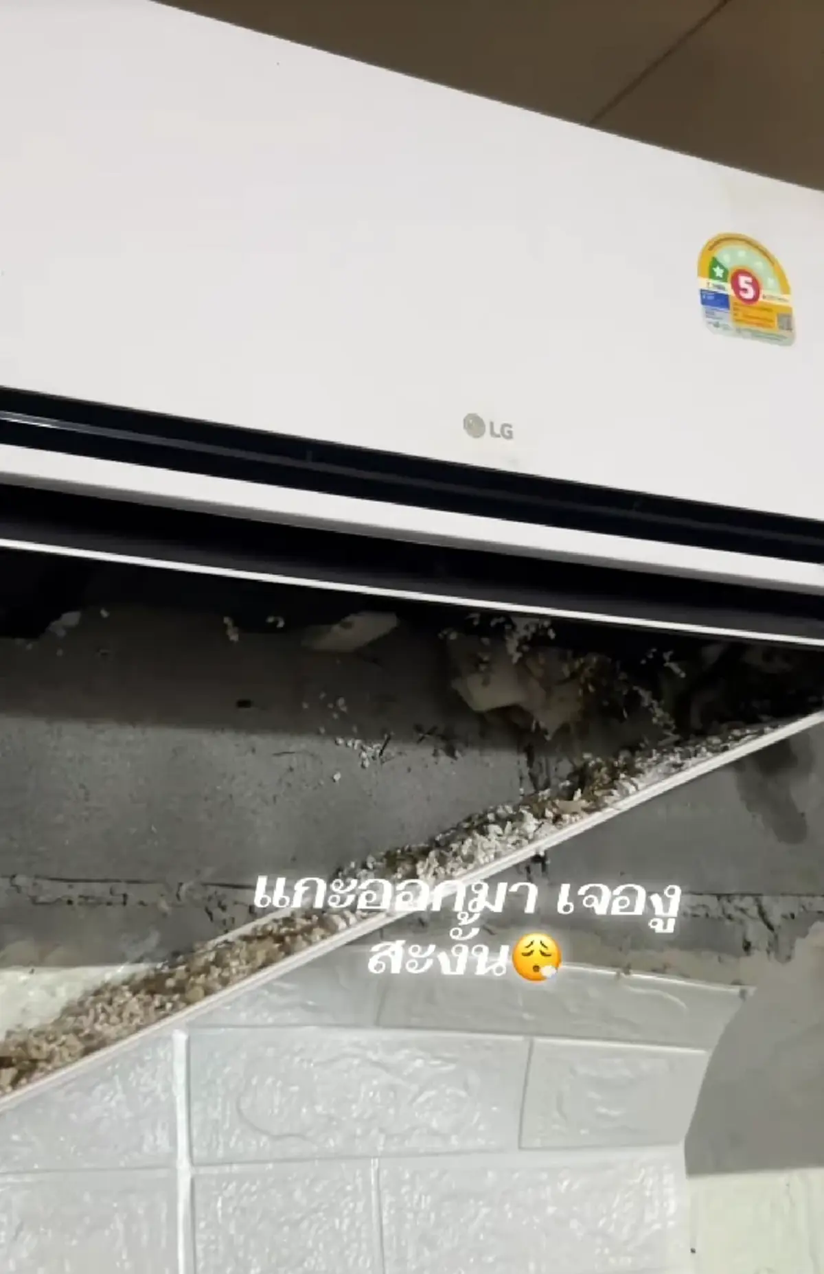 ช่างแอร์ผงะ ลูกค้าเรียกไปล้างแอร์ในรอบปี เปิดดูข้างในเจอเต็ม ๆ!