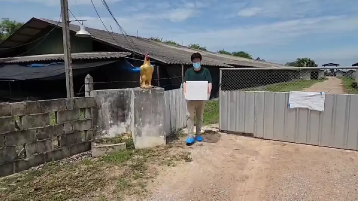ลุยตรวจสอบฟาร์มไก่ หลังตายผิดปกติพุ่งเกิน 3% สั่งบันทึกกักสัตว์