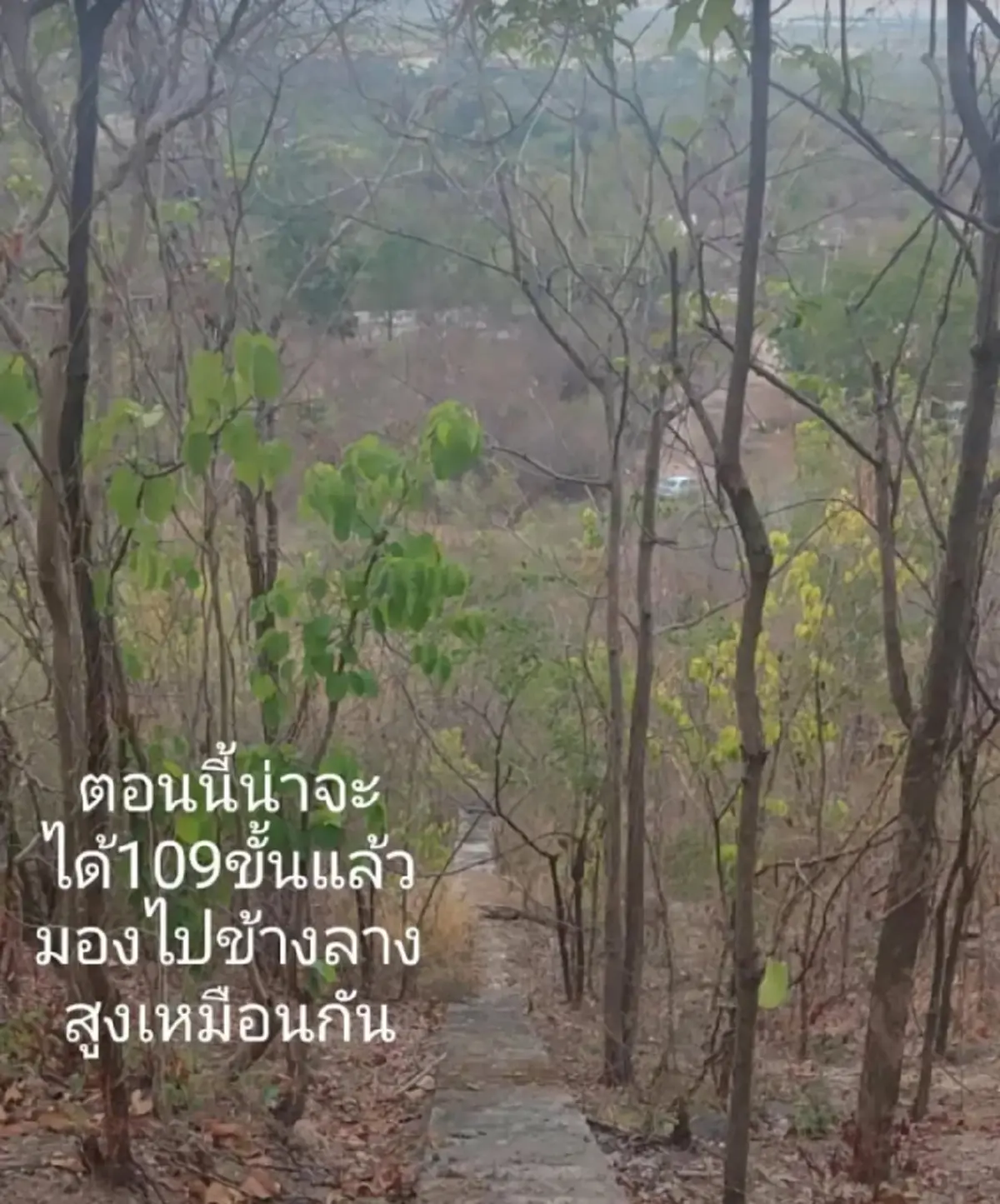 สาวบังเอิญเจอ ความลับหลังบ้านร้าง แอบซ่อนตัวอยู่หลายปี