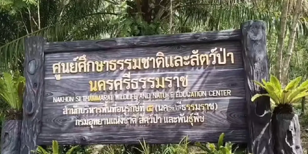 ระดมกว่า 200 ชีวิตค้นหา "ยายละไม" วัย 76 หายหายออกจากบ้าน
