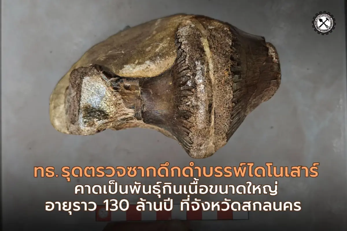 อายุราว 130 ล้านปี! กรมทรัพยากรธรณี รุดตรวจซากดึกดำบรรพ์ไดโนสาร์