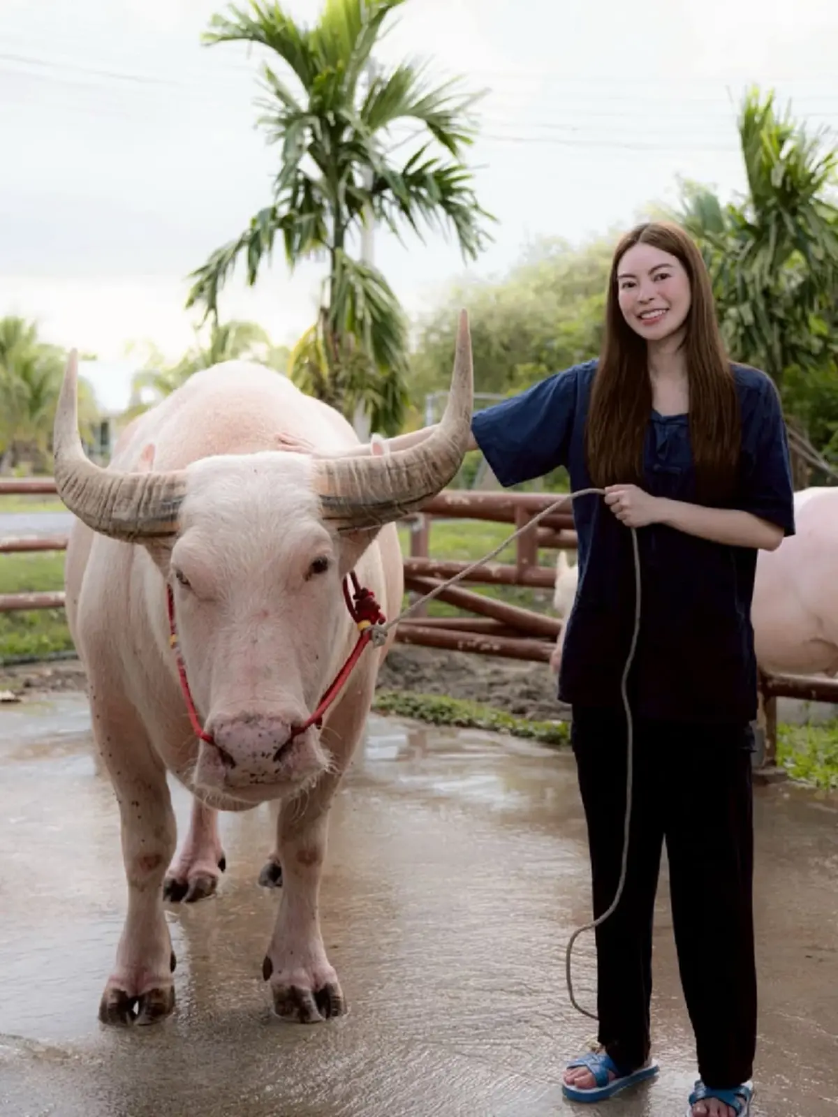 สลัดลุคคุณหนูหมื่นล้าน  "เอวา ปวรวรรณ" แปลงโฉมใส่ชุดชาวนา