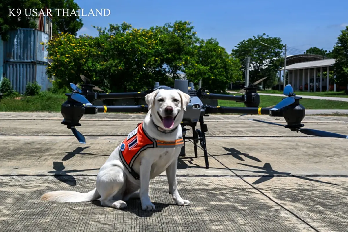 K9 สีนวล ผนึกโดรนซ้อมภารกิจ ชาวเน็ตหลุดโฟกัส ความน่ารักขโมยซีน