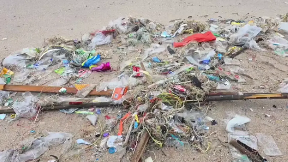 บางแสนอ่วม! ขยะทะเลมหาศาลลอยเกยหาดรับหน้าฝน เทศบาลเร่งกวาดวุ่น
