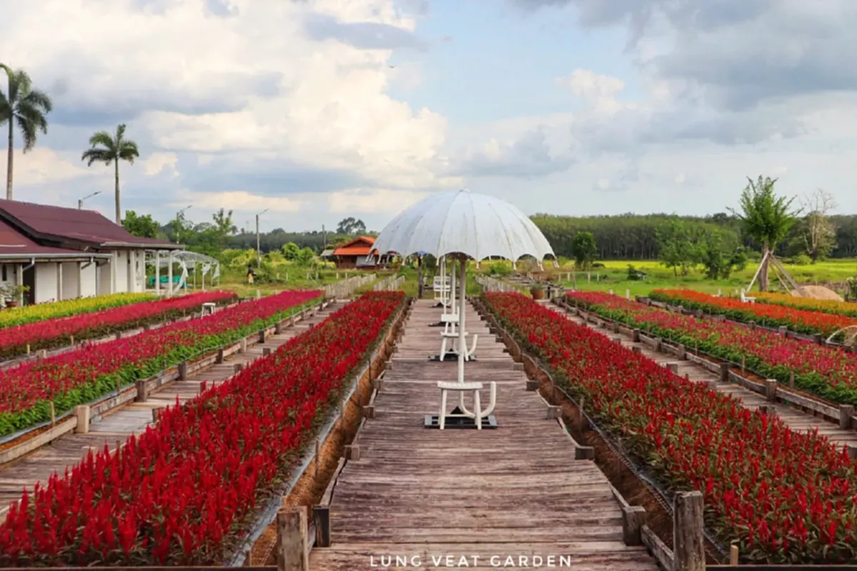 เศร้า สวนดอกไม้ชื่อดัง ประกาศปิดสวน รู้สาเหตุสุดเสียดาย