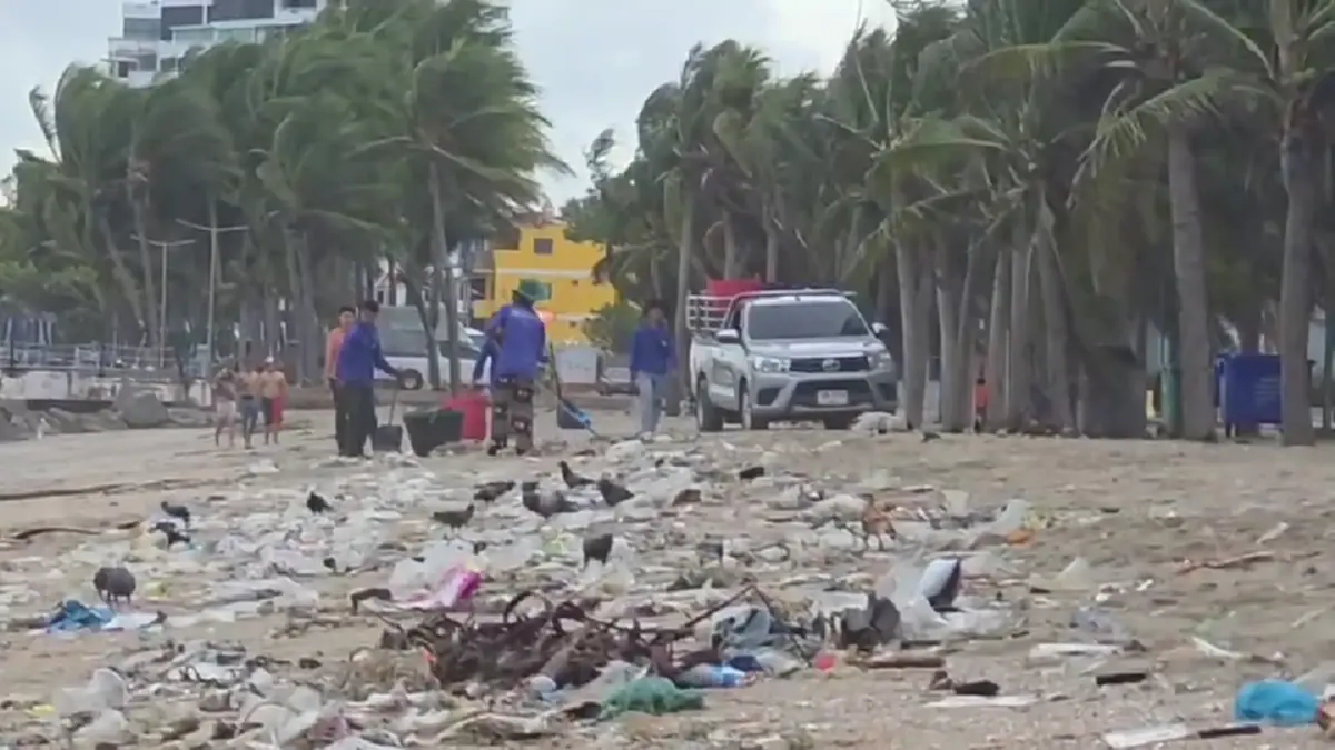 บางแสนอ่วม! ขยะทะเลมหาศาลลอยเกยหาดรับหน้าฝน เทศบาลเร่งกวาดวุ่น
