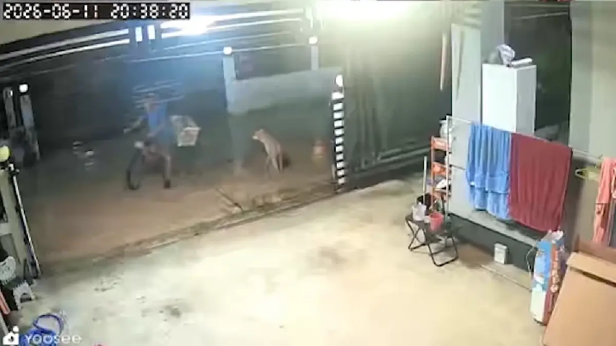 ซึ้งใจลุงเก็บขวดช่วยไล่หมาจร-ปิดรั้วบ้านให้เพราะห่วงขโมย