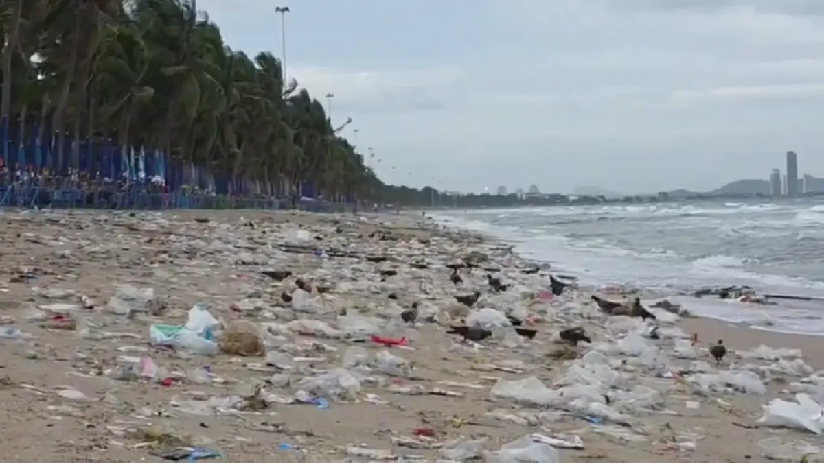 บางแสนอ่วม! ขยะทะเลมหาศาลลอยเกยหาดรับหน้าฝน เทศบาลเร่งกวาดวุ่น