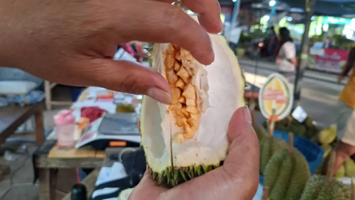 ช็อกทั้งตลาด! ผ่าทุเรียนลับแลเจอ "หนามแทนพู" เจ้าของร้องลั่น