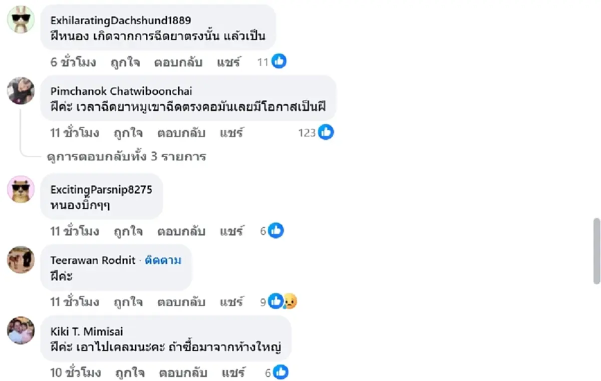 หนุ่มสงสัย ก้อนสีเขียวบนเนื้อหมู คืออะไร เพิ่งเคยเจอครั้งแรก