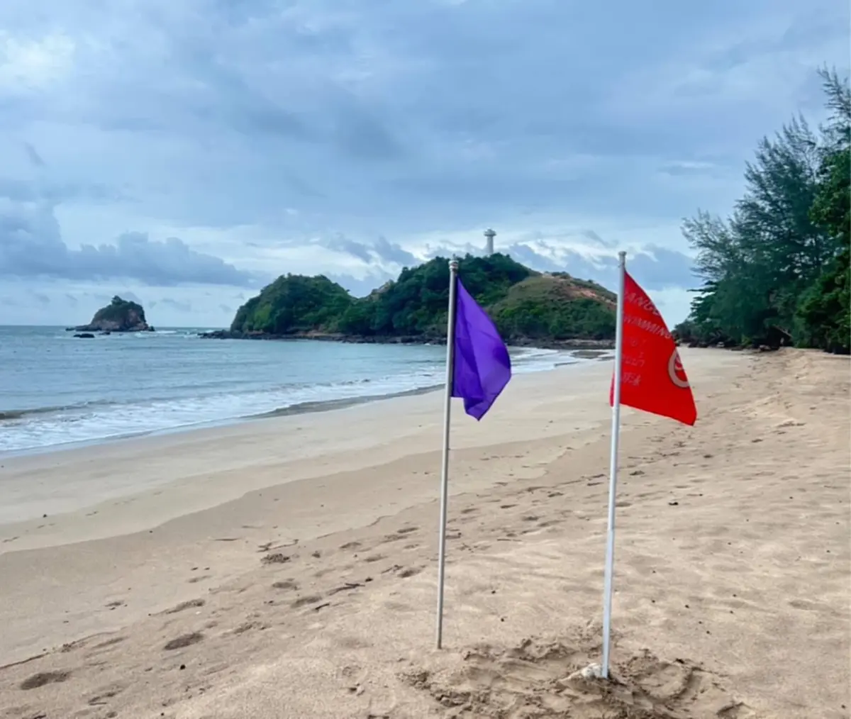 ช็อกทั้งหาด! พบแมงกะพรุนไฟเกยฝั่งนับไม่ถ้วน อุทยานฯ สั่งปิดด่วน