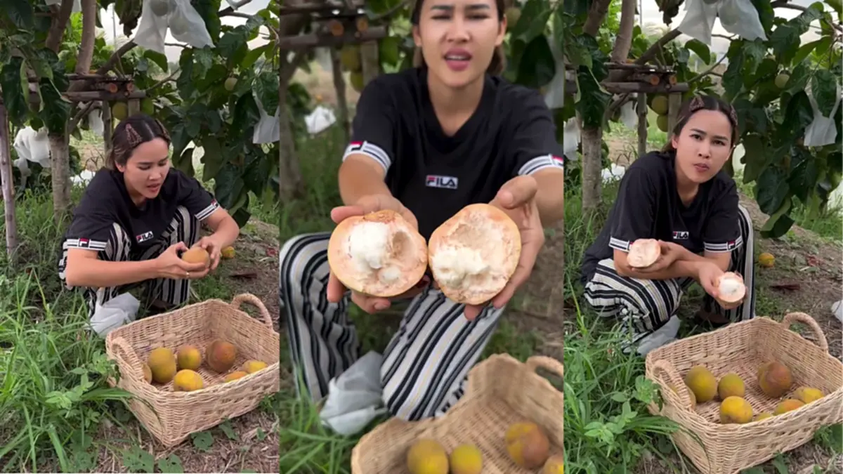 ส่องบ้านสวน หนูเล็ก ก่อนบ่าย กระท้อนดกเต็มต้น โพสต์ซึ้งถึงพ่อแม่