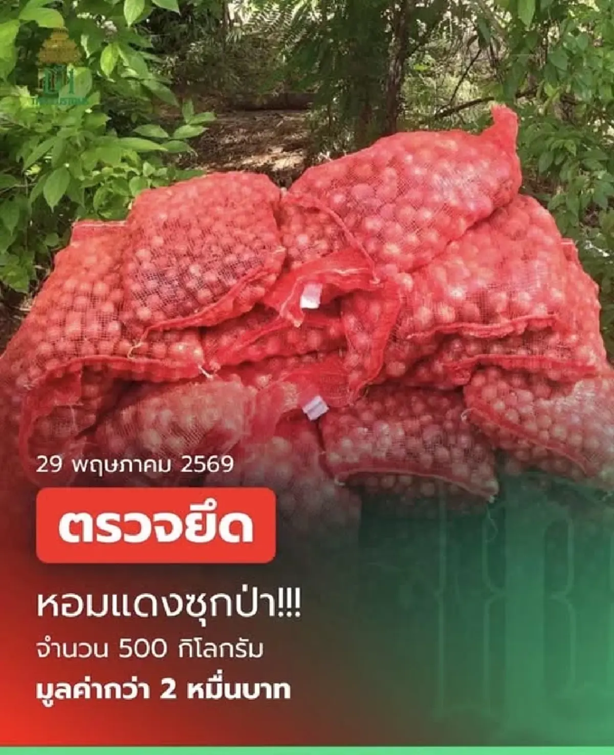 ศุลกากรตรวจยึด "หอมแขก" ล็อตใหญ่ พบลักลอบนำเข้าผิดกฎหมาย
