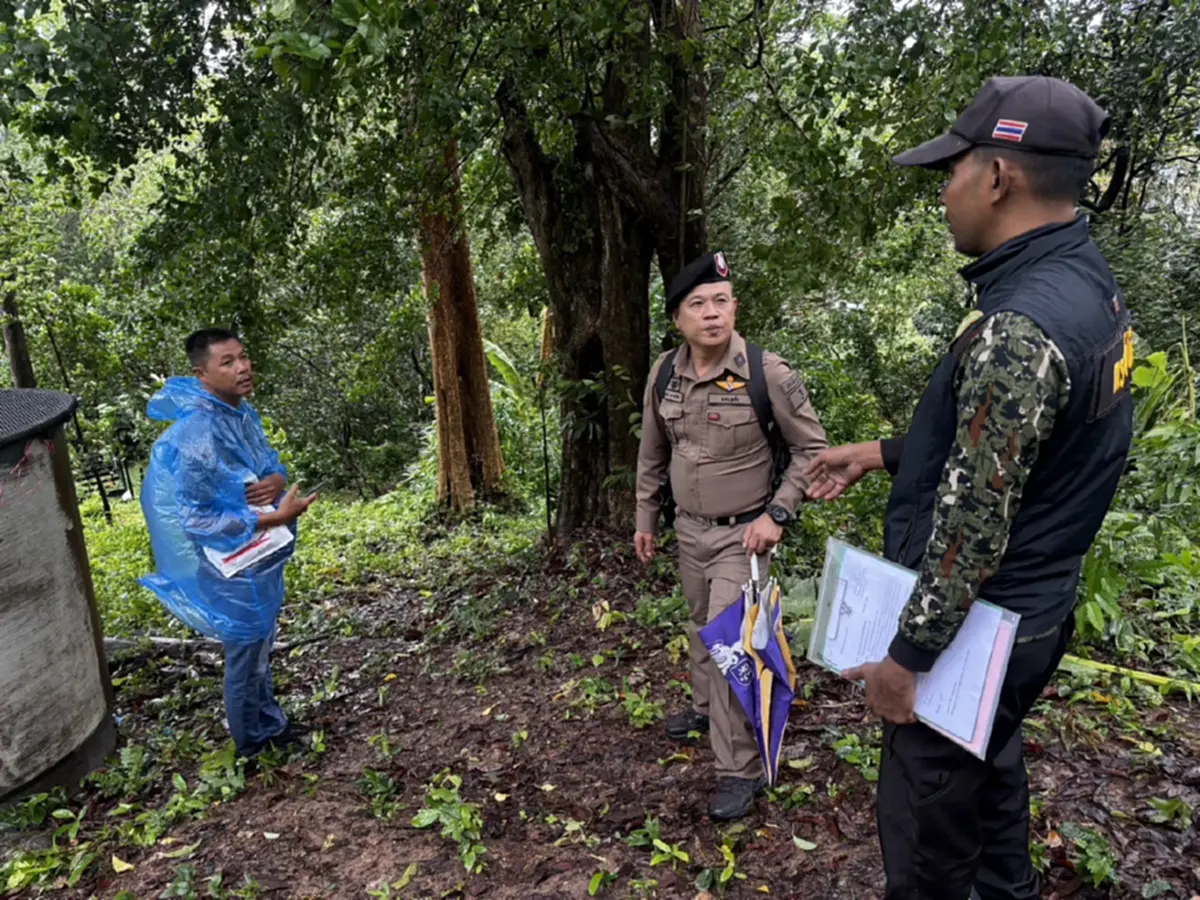 ฟันเฒ่า 64 รุกป่าเขาโต๊ะแซะภูเก็ต แอบถางป่าสร้างบ้านพัก