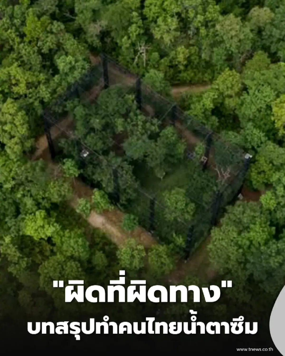 ไขปริศนา สิ่งปลูกสร้างยักษ์กลางป่าลึก ยิ่งอ่านยิ่งขนลุก แต่บทสรุปทำคนไทยน้ำตาซึม