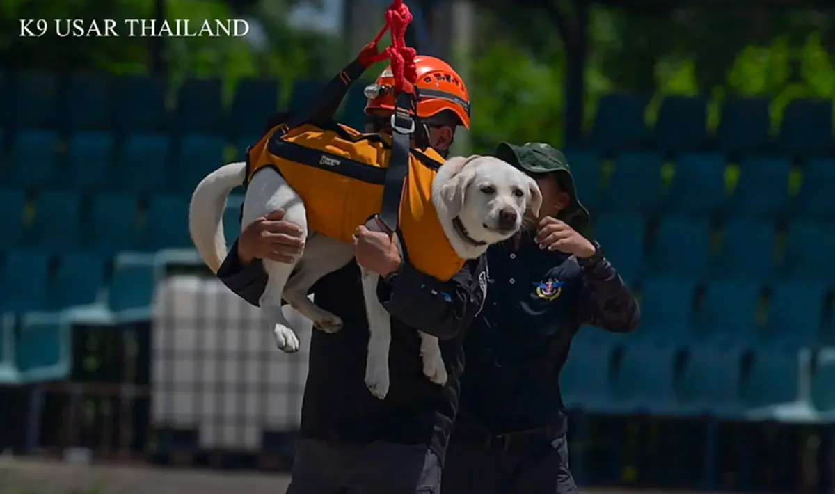 K9 สีนวล ผนึกโดรนซ้อมภารกิจ ชาวเน็ตหลุดโฟกัส ความน่ารักขโมยซีน
