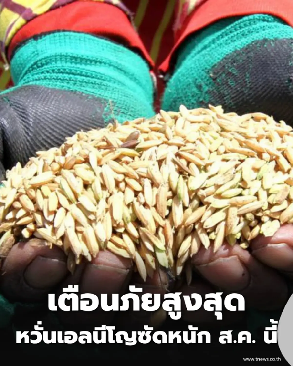 เตรียมรับมือ อินโดฯ ยกระดับเตือนภัยสูงสุด หวั่นเอลนีโญซัดหนัก ส.ค. นี้