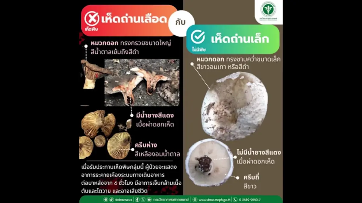 หาม 5 แรงงานพม่าส่ง รพ.ลำปาง หลังเปิบแกงเห็ดพิษบนดอยงาว