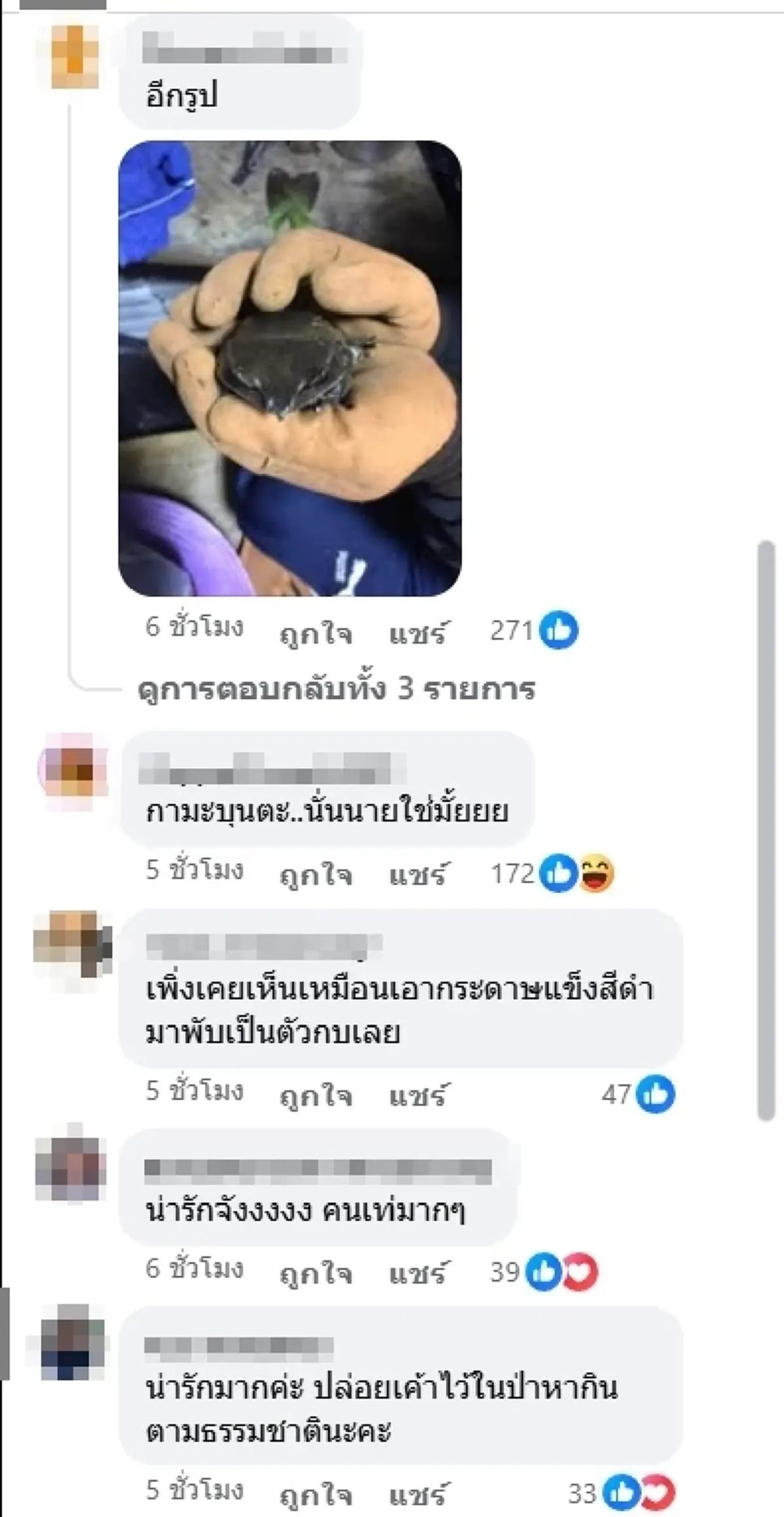 รู้แล้วตัวอะไร หนุ่มเจอตัวแปลกๆในสวน ที่แท้สัตว์คุ้มครองหายาก
