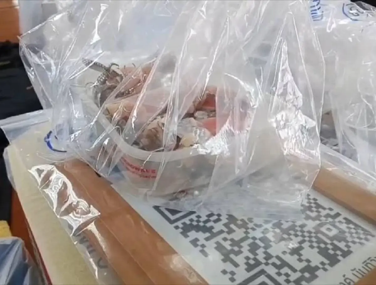 บุกจับ "หมอทหาร" เก๊! เปิดคลินิกทำฟันเถื่อนกลางตลาดไร้ใบอนุญาต!