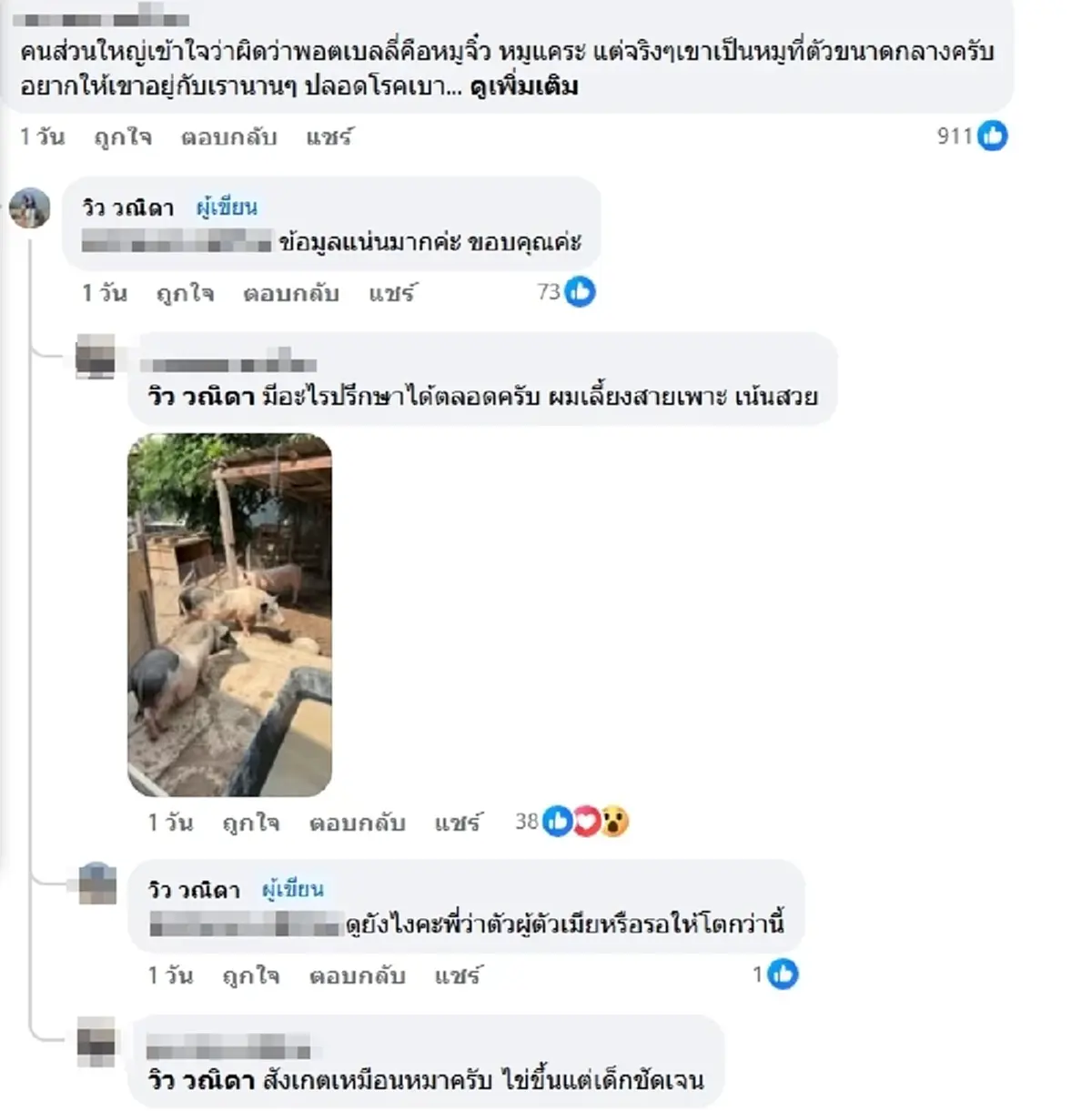 สาวตักไข่ ได้ หมูแคระ สงสัยจะตัวเล็กจริงไหม ชาวเน็ตแห่เฉลยพีกมาก