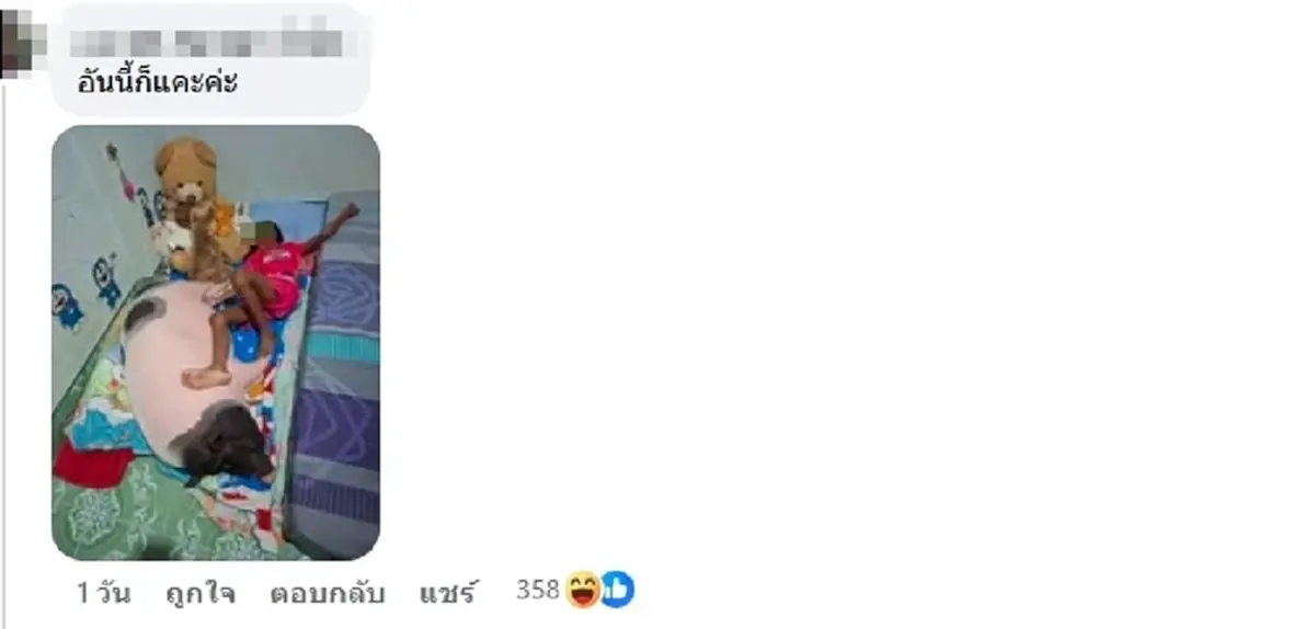 สาวตักไข่ ได้ หมูแคระ สงสัยจะตัวเล็กจริงไหม ชาวเน็ตแห่เฉลยพีกมาก