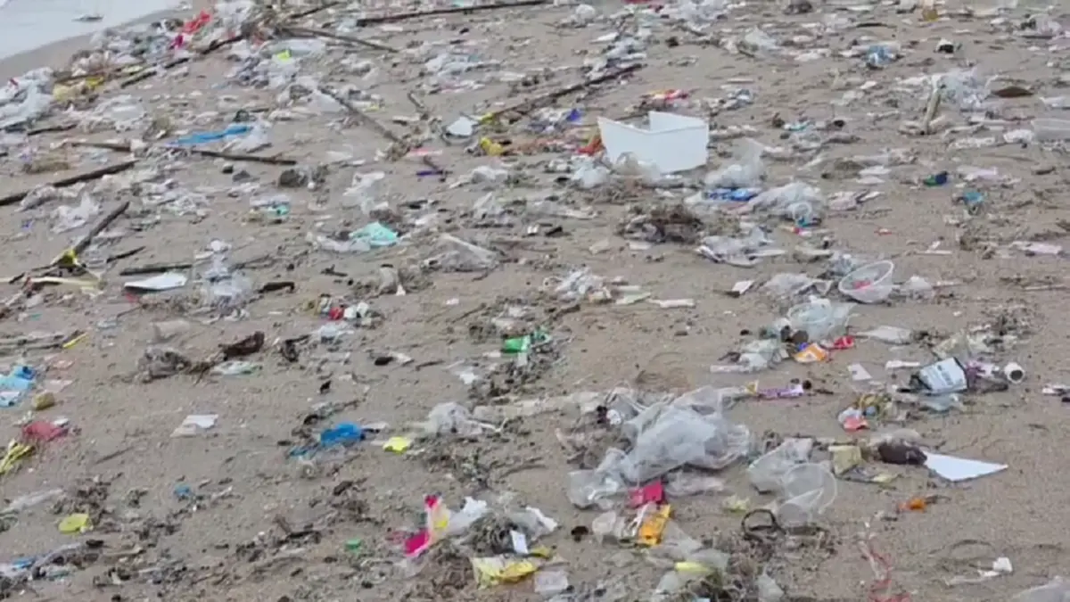 บางแสนอ่วม! ขยะทะเลมหาศาลลอยเกยหาดรับหน้าฝน เทศบาลเร่งกวาดวุ่น