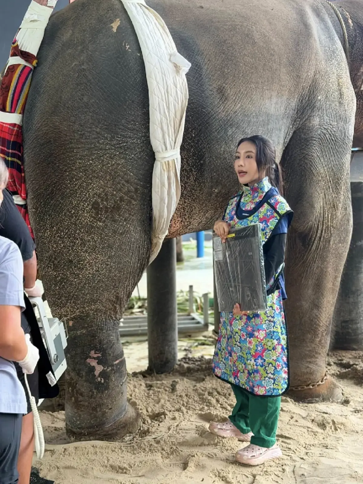 ปาฏิหาริย์มีจริง! อัปเดต "พี่เดียว" ช้างขาหัก 4 เดือน อาการดีขึ้น