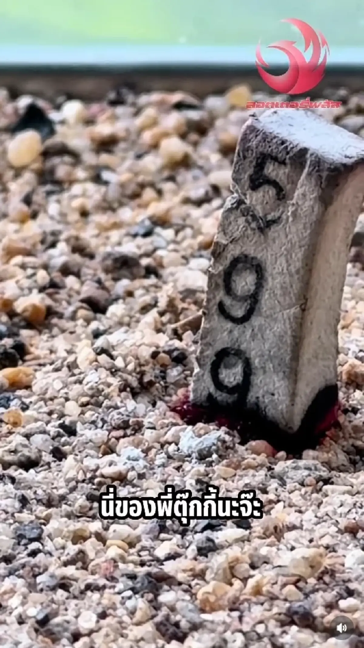 ส่อง ตุ๊กกี้ สุดารัตน์ จุดเลขธูปให้เห็นกันชัดๆ จุดได้เลขสวยมาก