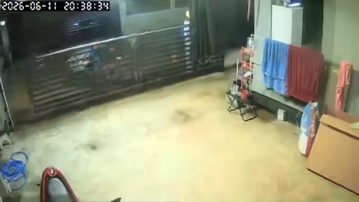 ซึ้งใจลุงเก็บขวดช่วยไล่หมาจร-ปิดรั้วบ้านให้เพราะห่วงขโมย