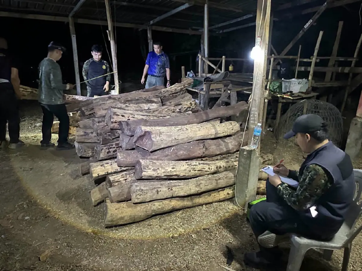 ของกลางเพียบ! ยึดไม้พะยูงกว่า 200 ท่อน เตรียมขยายผลหาตัวนายทุน