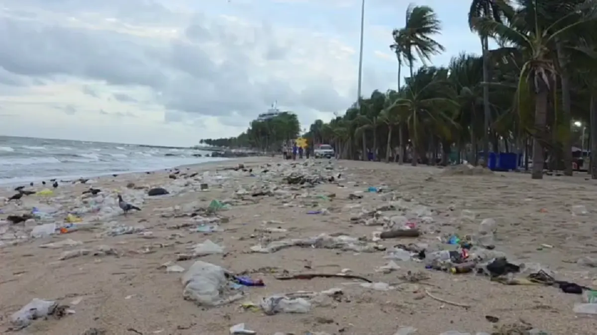 บางแสนอ่วม! ขยะทะเลมหาศาลลอยเกยหาดรับหน้าฝน เทศบาลเร่งกวาดวุ่น