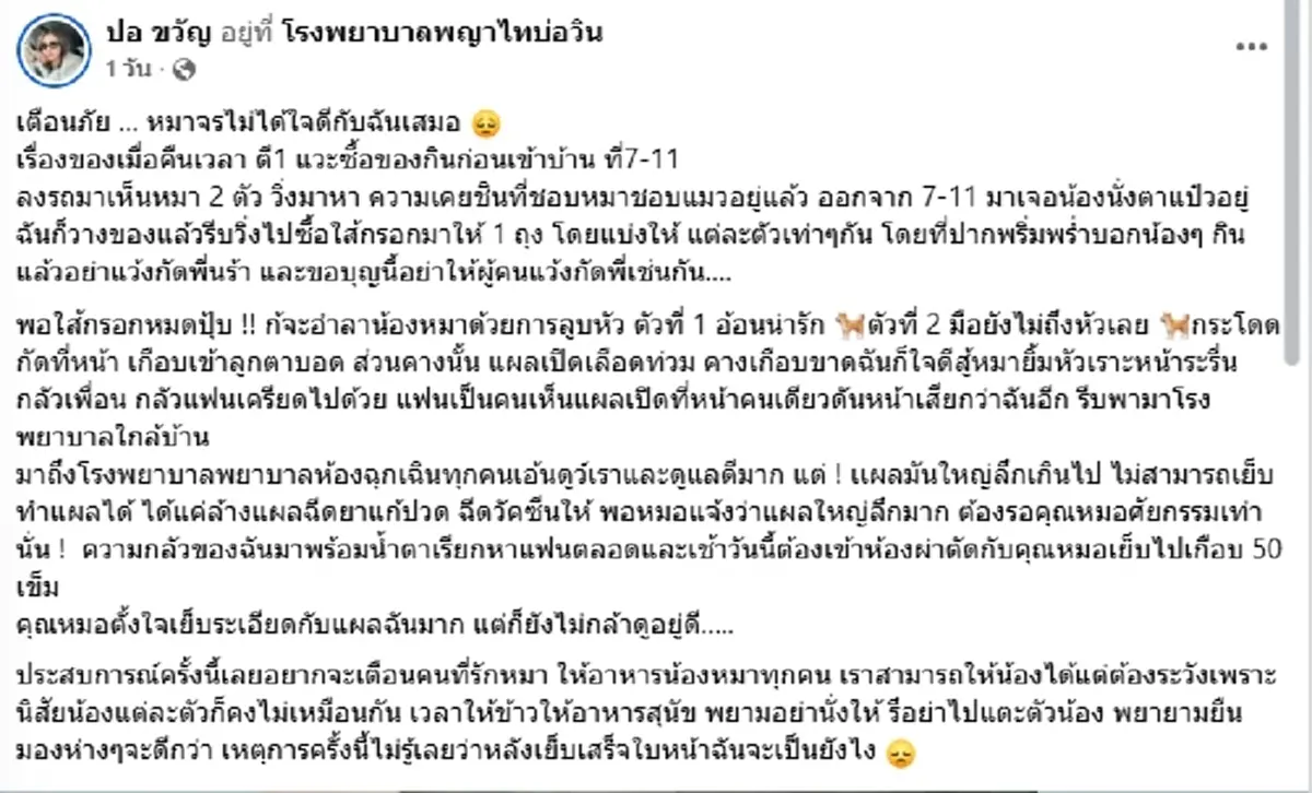 อุทาหรณ์ สาวให้อาหารหมาจร สุดท้ายโดนฝากเขี้ยวเย็บหน้า 50 เข็ม