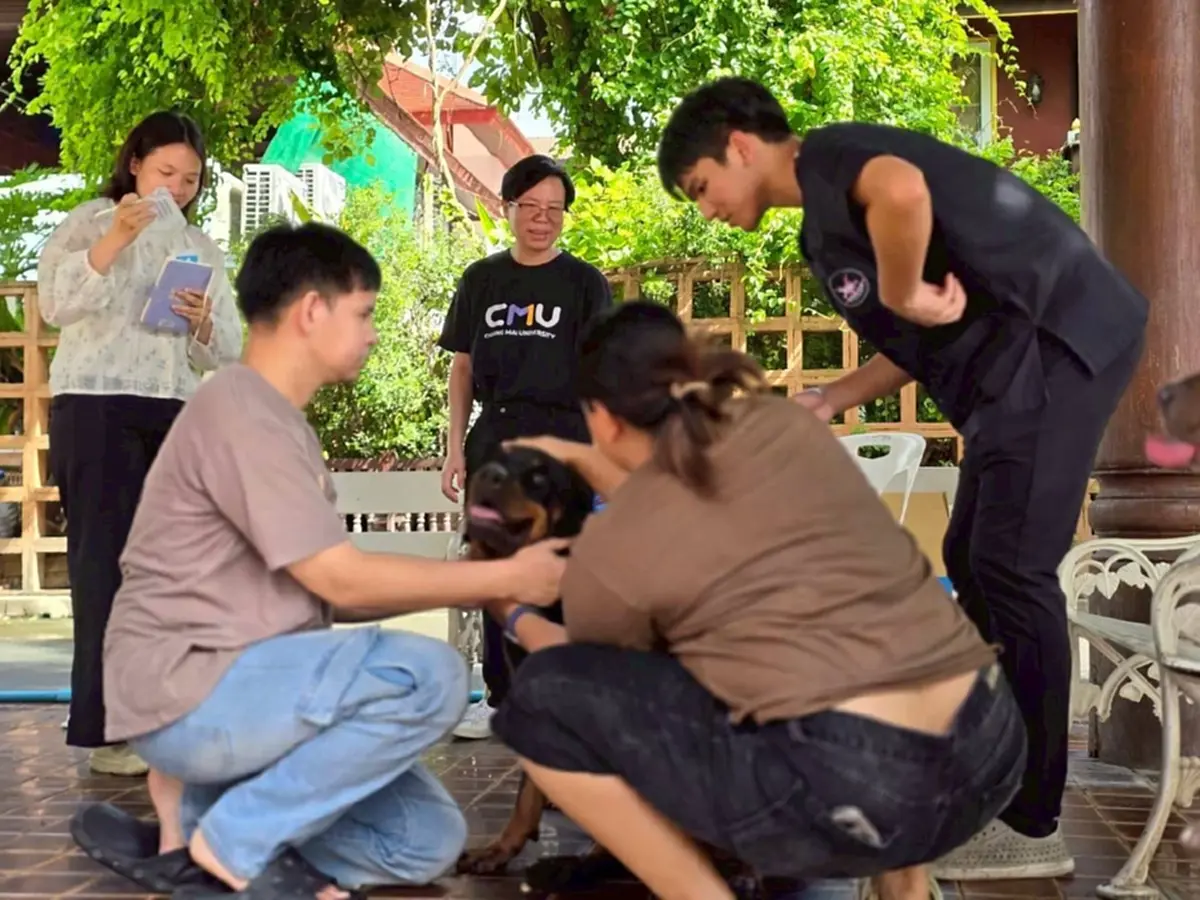 เปิดตัวโครงการ "หมา คู เมือง" นำร่องฝังชิพหมาวัดเจดีย์หลวง
