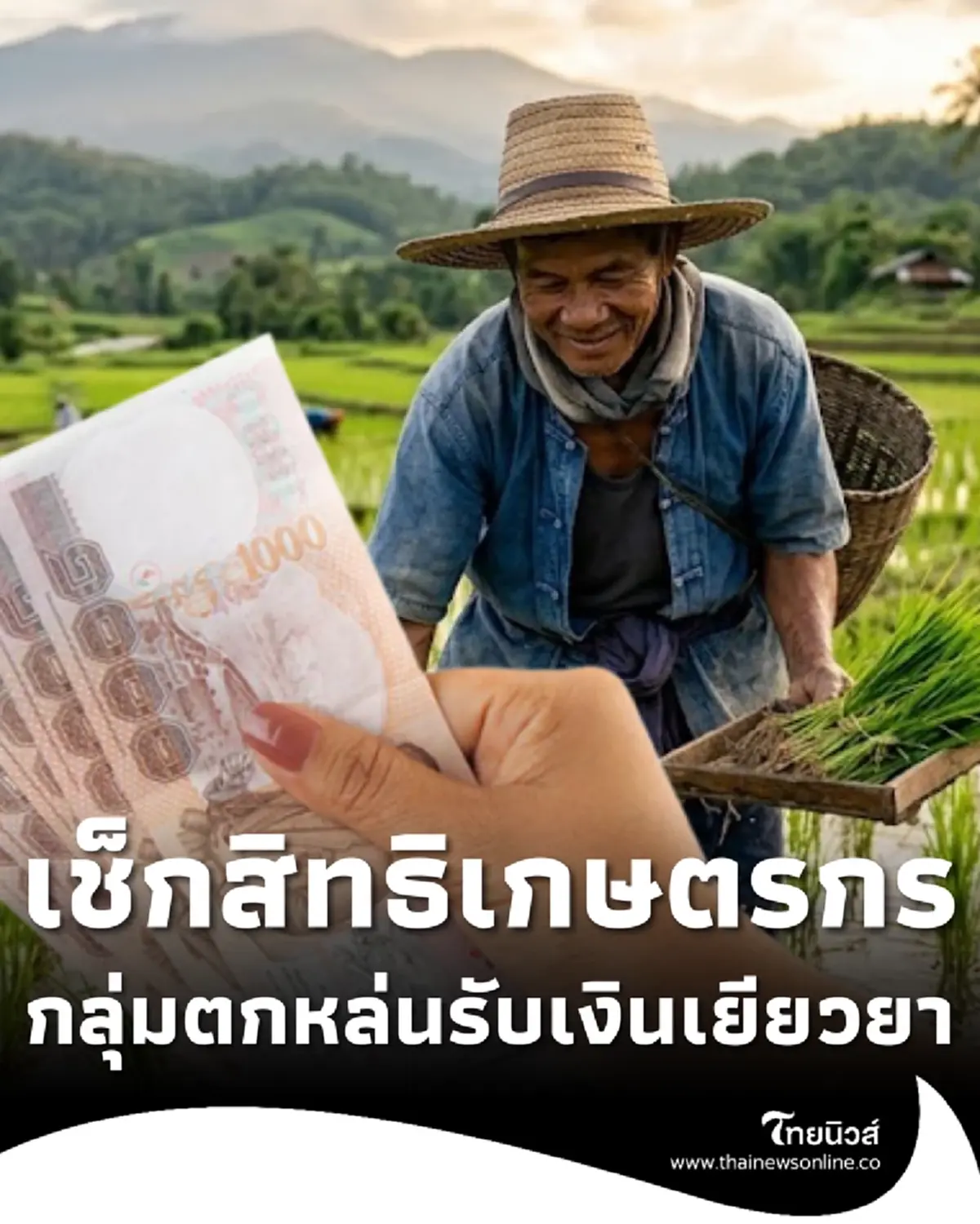 เช็กสถานะเกษตรกร ตรวจสอบสิทธิรับเงินช่วยเหลือไร่ละ 1,000 บาท 