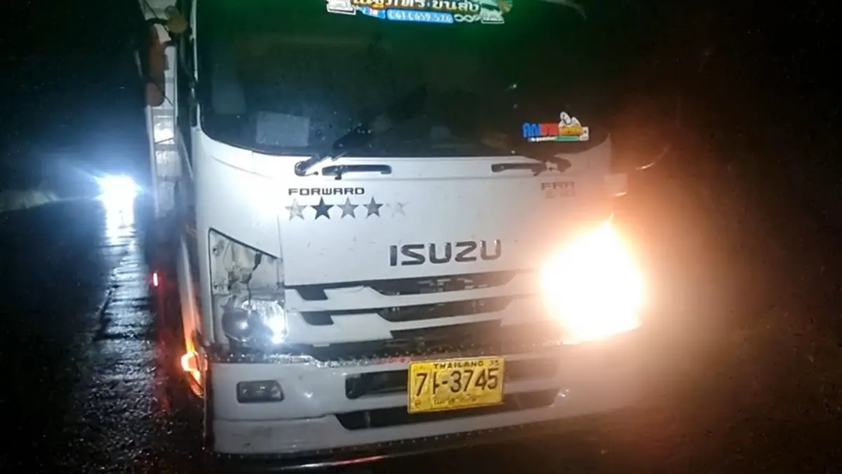 ฝูงควายตัดหน้าทำรถชนยับ 3 คันรวด สลดแม่ควายท้องดับ ไร้เงาเจ้าของ