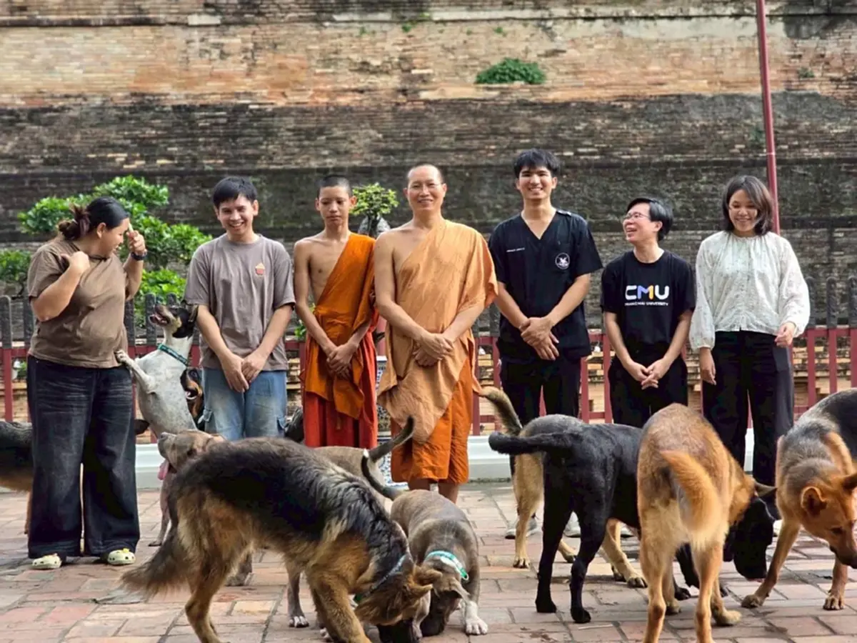 เปิดตัวโครงการ "หมา คู เมือง" นำร่องฝังชิพหมาวัดเจดีย์หลวง