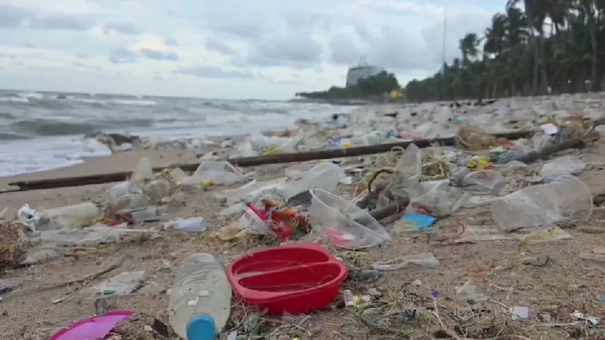 บางแสนอ่วม! ขยะทะเลมหาศาลลอยเกยหาดรับหน้าฝน เทศบาลเร่งกวาดวุ่น