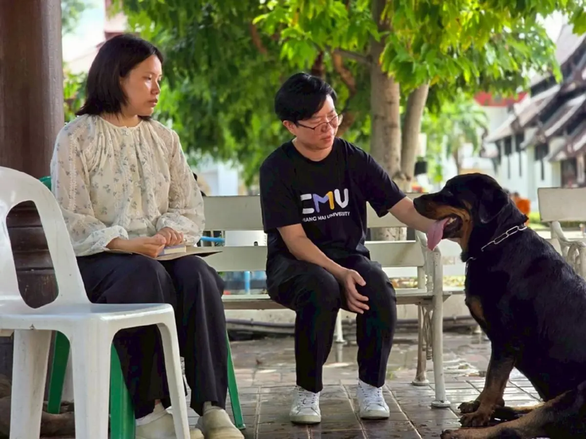 เปิดตัวโครงการ "หมา คู เมือง" นำร่องฝังชิพหมาวัดเจดีย์หลวง