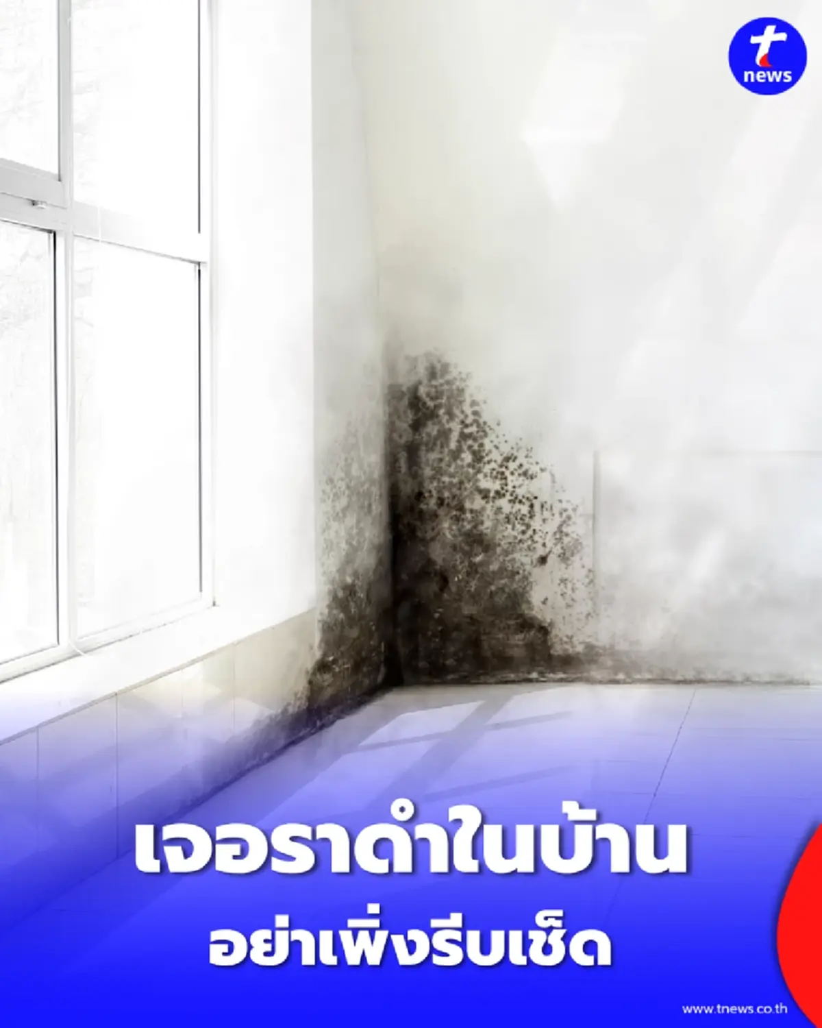 เห็นคราบราดำ บนผนังบ้านช่วงหน้าฝน อย่าเพิ่งหยิบผ้าชุบน้ำไปเช็ด